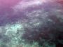 AmbergrisCaye05 - 131